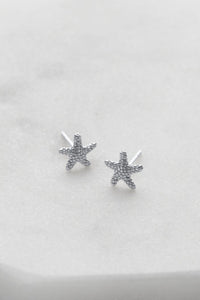 Zafino - Starfish Stud